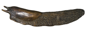 Slug PNG-87322